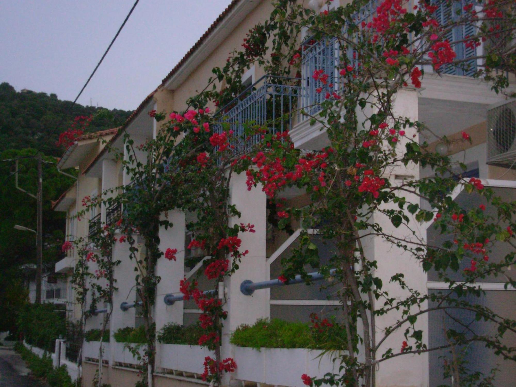 Louisa Studios Poros  Exteriör bild