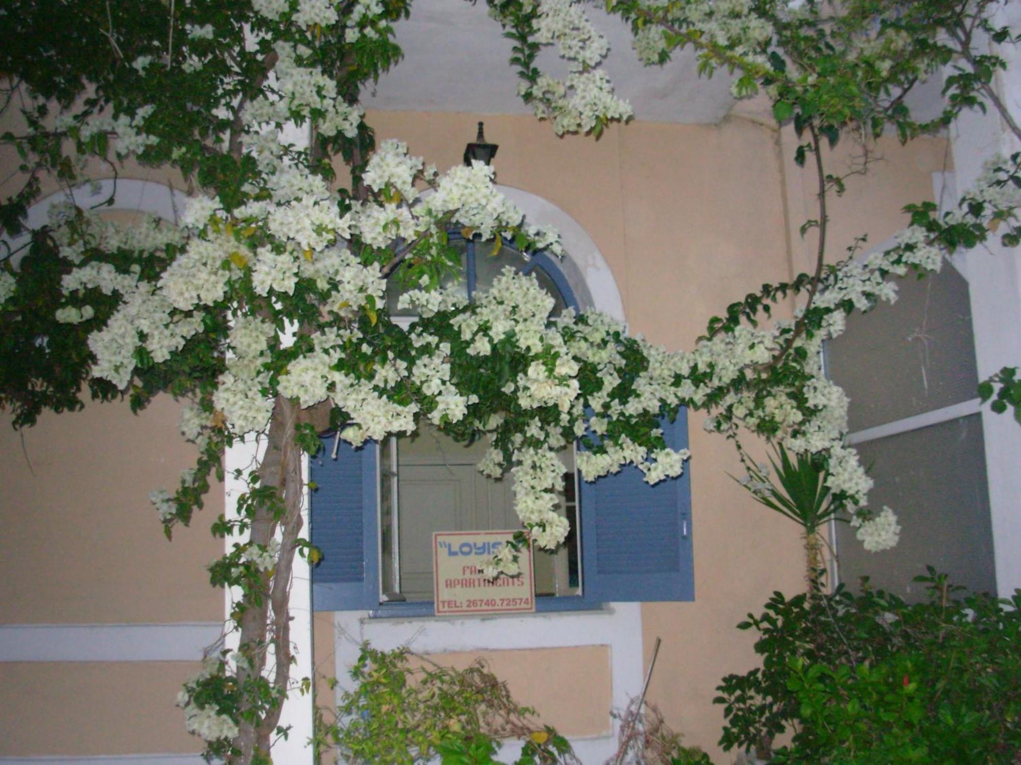 Louisa Studios Poros  Exteriör bild